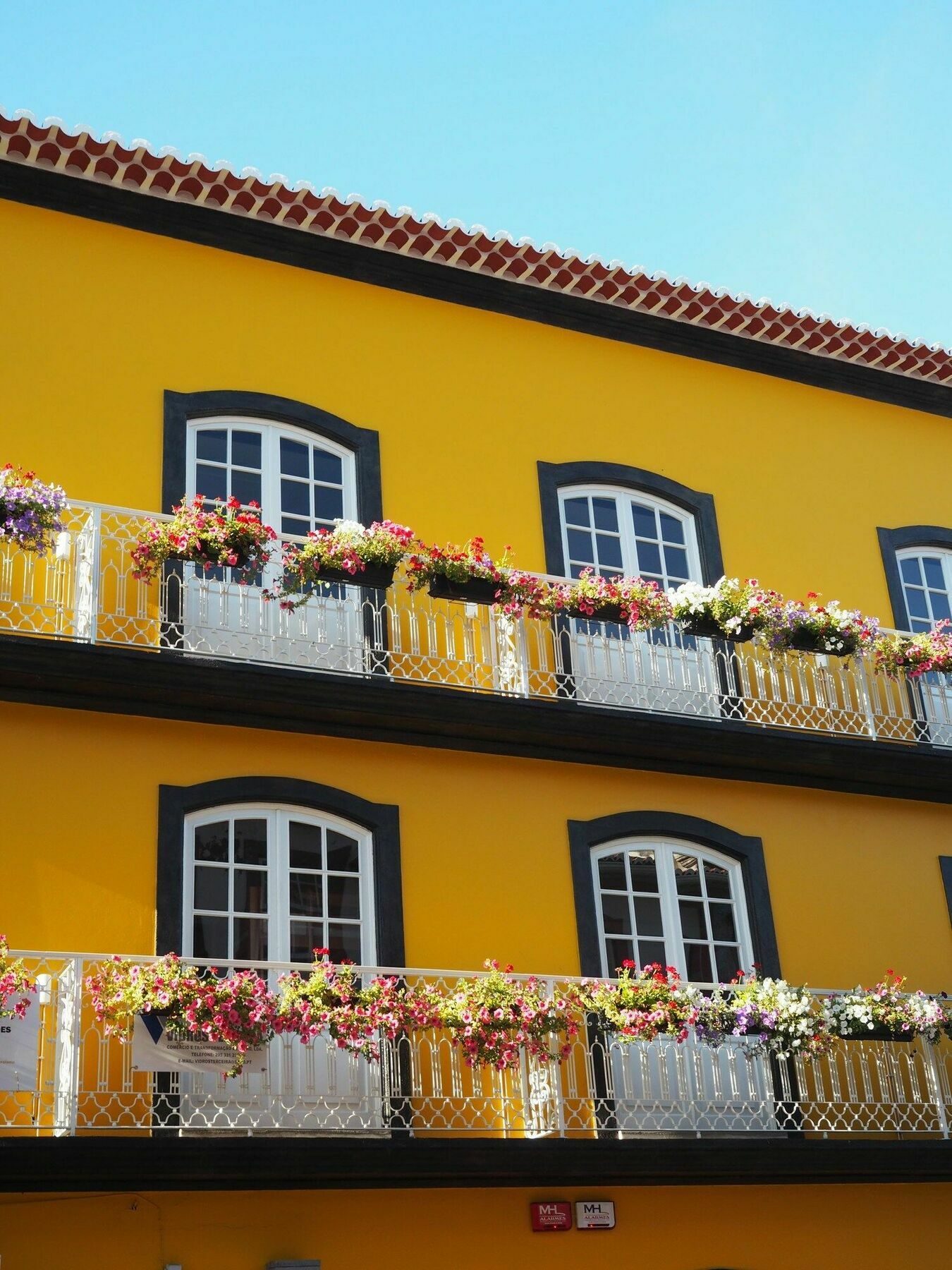 Globo Happy Hostel Angra do Heroísmo Buitenkant foto